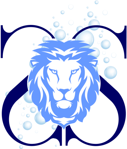 Logo Sénam Clean