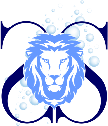 Logo Sénam Clean